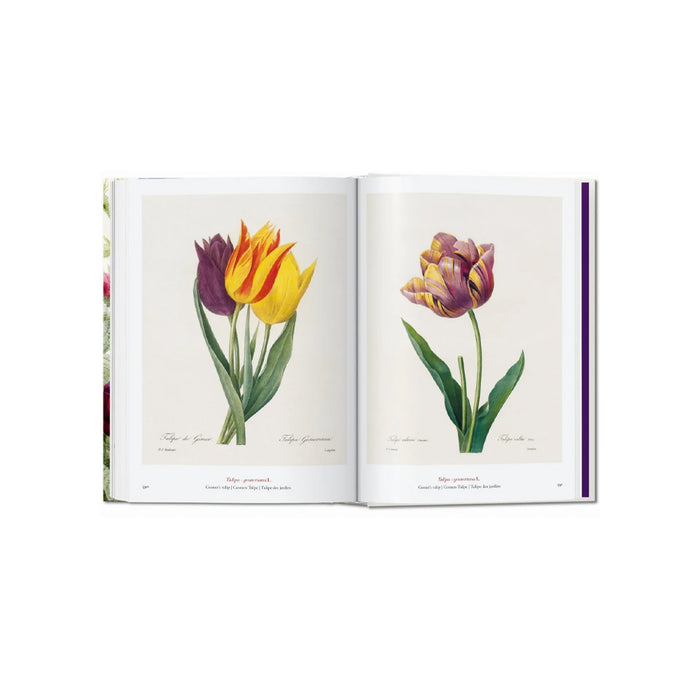 Livro Redouté. The Book of Flowers. 40th Ed.