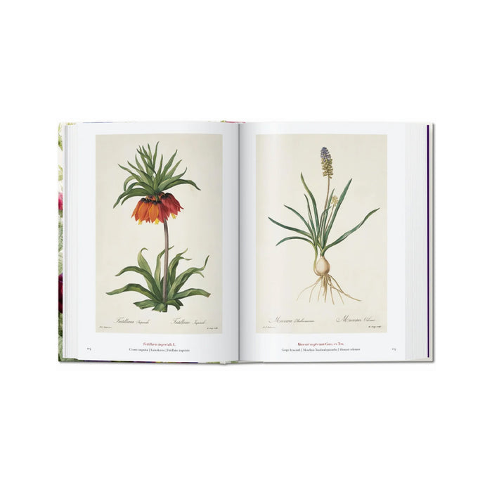<tc>Redouté. The Book of Flowers. 40th Ed. Book</tc>