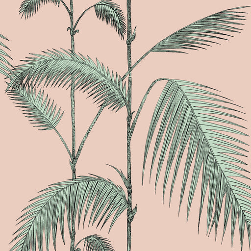 Palm Leaves - Icons Rosa, verde