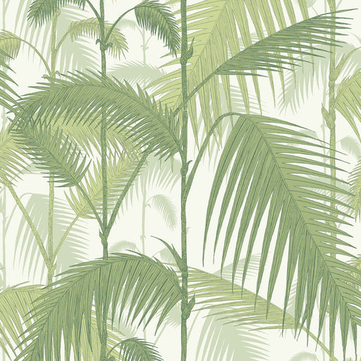 Palm Jungle - The Contemporary Selection  Kaki, verde, branco