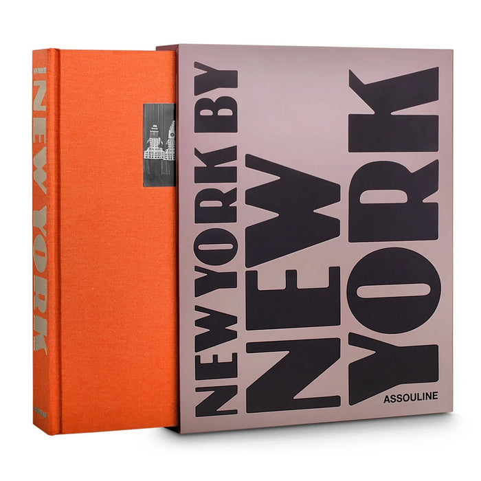 Livro New York by New York 4
