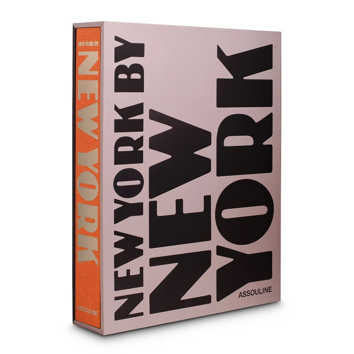 Livro New York by New York 2