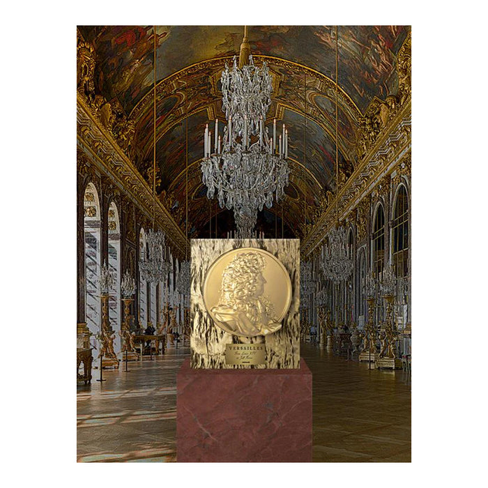 Livro Versailles: From Louis XIV to Jeff Koons (Special Edition) 5
